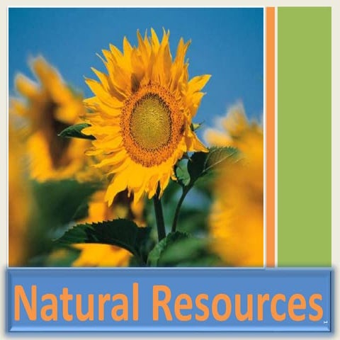  Natural Resources Presentation