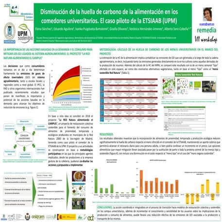 Sánchez et al., Poster Remedia 2019