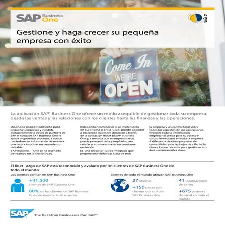 Sap business-one-funcionalidades