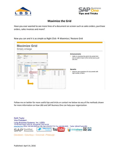 Sap Business One Tips and Tricks Maximize Grid Size
