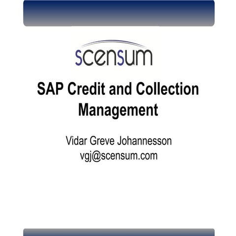 Sap credit-and-collection-management