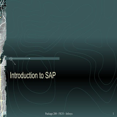 Sap into-1213948722097753-9