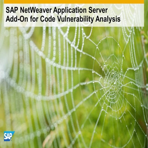 SAP NetWeaver Application Server Add-On for Code Vulnerability Analysis Overview