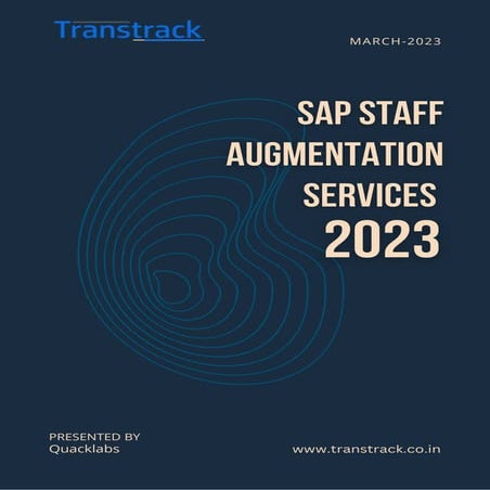 Staff Augmentation Outlooks | PDF