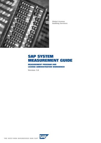 Sap system-measurement-guide