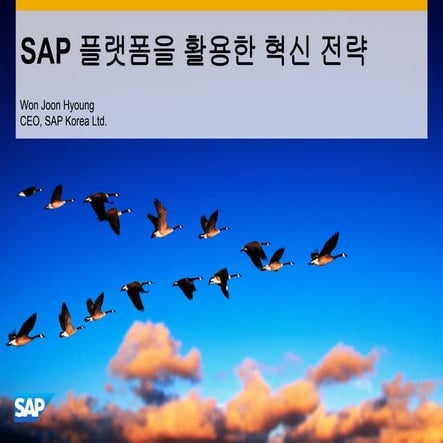 SAP 플랫폼을 활용한 혁신전략