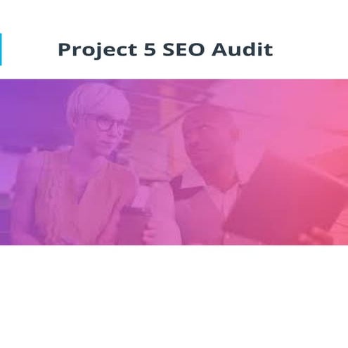   SEO Audit Project 