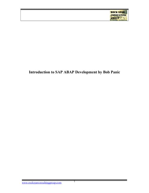 SAP ABAP support by bob panic www.rockstarconsultinggroup.com