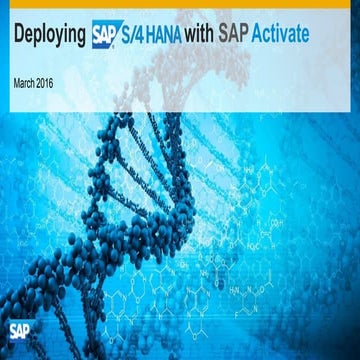 SAP Activate Overview