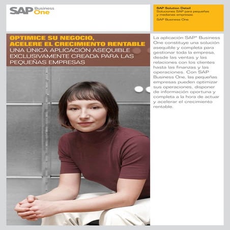 Sap b1 información detallada