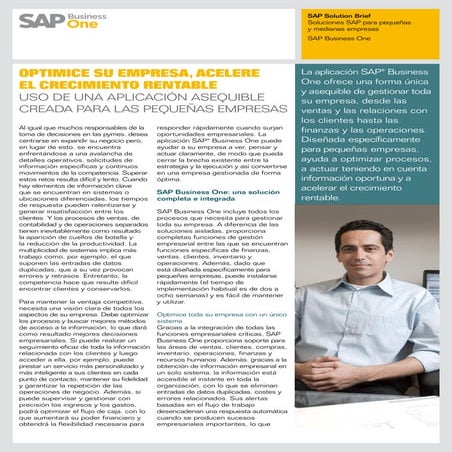 Sap b1 información resumida