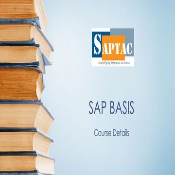 SAP Basis