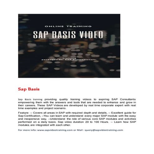 Sap Basis