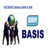 SAP BASIS Training in Delhi in 2022