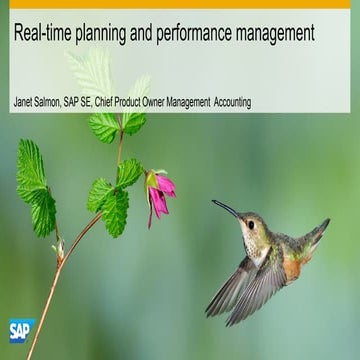Sap bpc  - models -- comment ce real-time-planning-and-performance-management (1)
