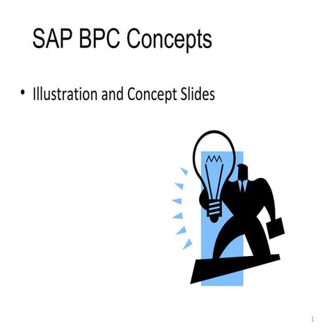 Sap BPC concepts