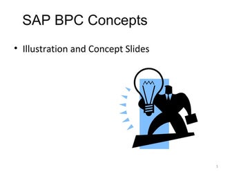 Sap BPC concepts