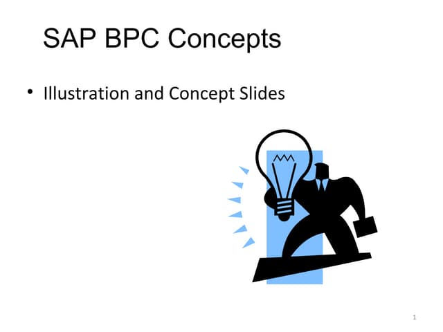 Sap BPC concepts