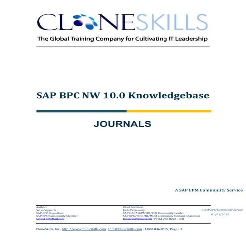 SAP BPC NW 10.0 Journals