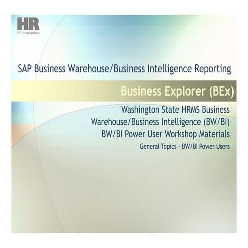 SAP Business Explorer bex hr