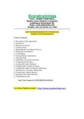  SAP BUSINESSOBJECTS FINANCIAL CONS...