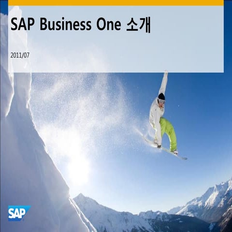 SAP_방은석,최민호_110719