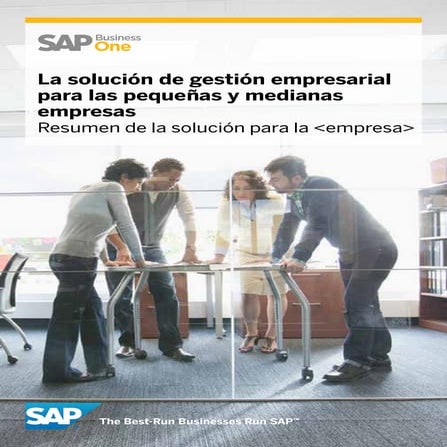 SAP BUSINESS ONE