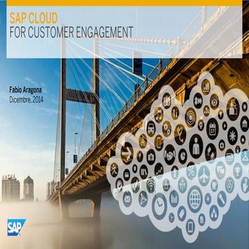 SAP Cloud for Customer Overview