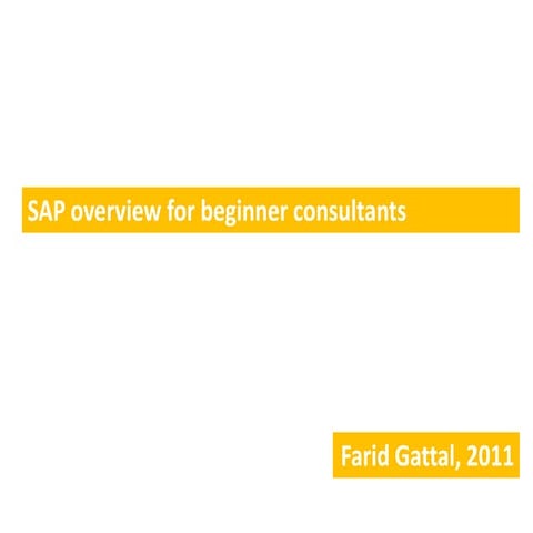 SAP Overview for Beginner Consultants