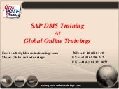 SAP DMS Training | SAP document man...