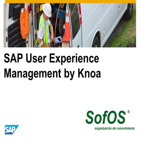 Sap education   knoa 