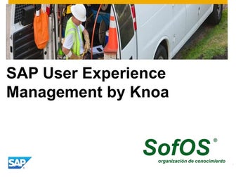 Sap education   knoa 