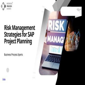 Effective Risk Management in SAP Projects