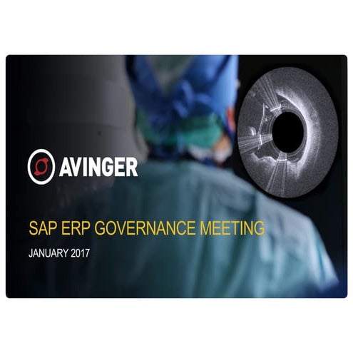 SAP ERP Governance