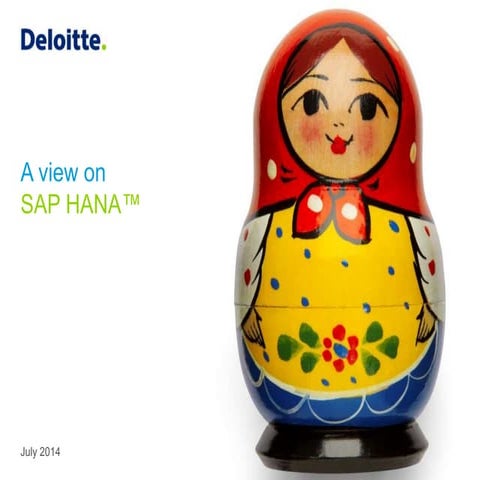 A View on Sap HANA™