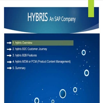 Sap hybris overview