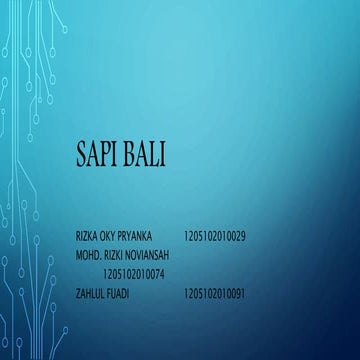 Sapi bali | PPTX