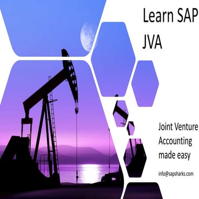 Sap jva training-What is Joint Venture Accounting 