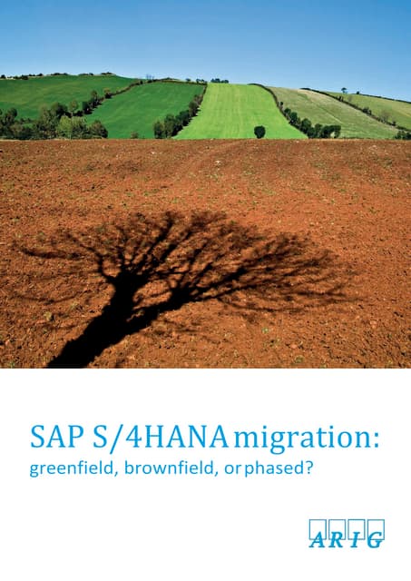 SAP ERP IMPLEMENTATION AND Sap migration