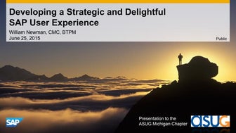 Delivering a Strategic and Delightful User Experience