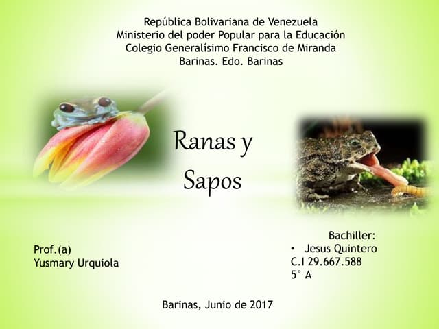 Desarrollo embrionario de las ranas 