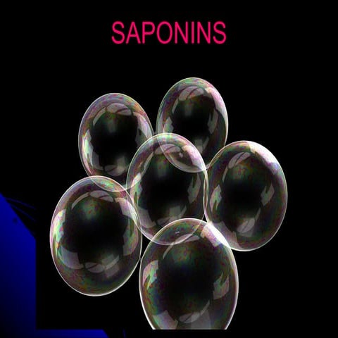 Saponins- a brief introduction