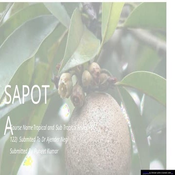 SAPOTA presentation with all the details with management | PPTX