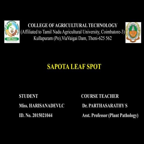 Sapota leaf spot