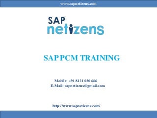 SAP PCM Online Training - SAP PCM Training - SAP Netizens