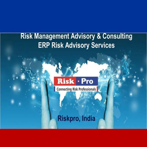 Sap risk advisory 2013