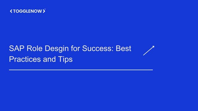 SAP Role Design for Success: 3 Best Practices and Tips | PDF