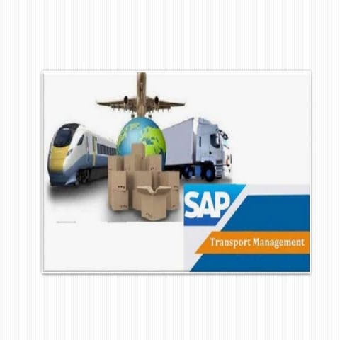 Sap s4 hana tm