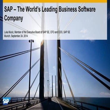 Sap safe haborstatement