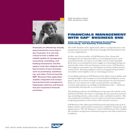 Sap sales brochure_financials